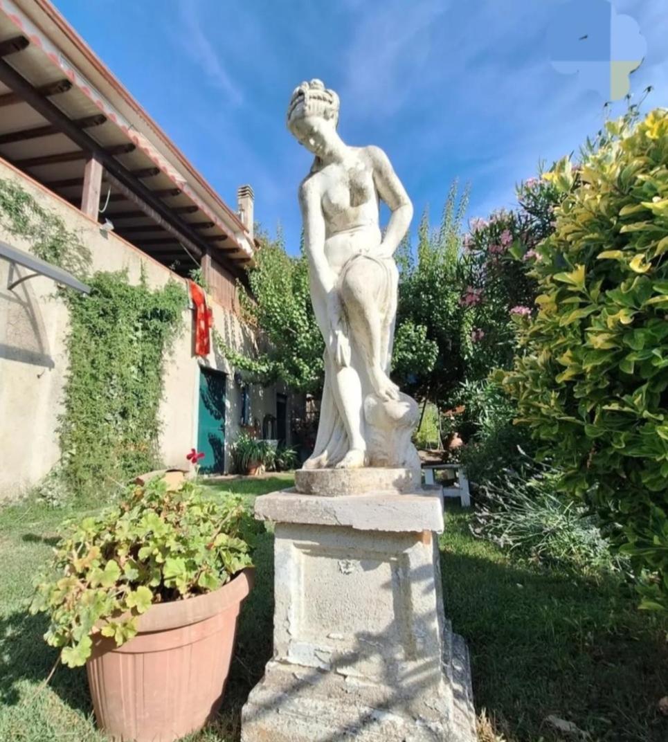 Vetulonia Romantica المظهر الخارجي الصورة