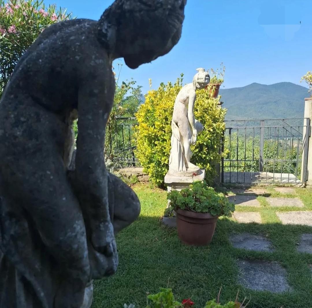 Vetulonia Romantica المظهر الخارجي الصورة