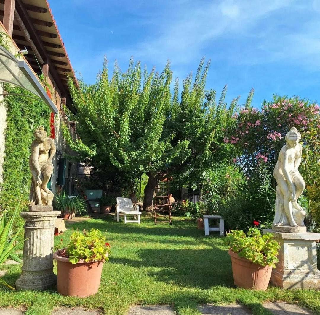 Vetulonia Romantica المظهر الخارجي الصورة